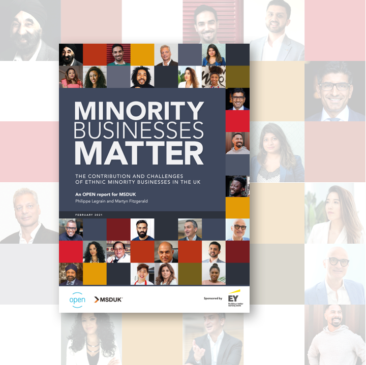 Minority Businesses Matter Report